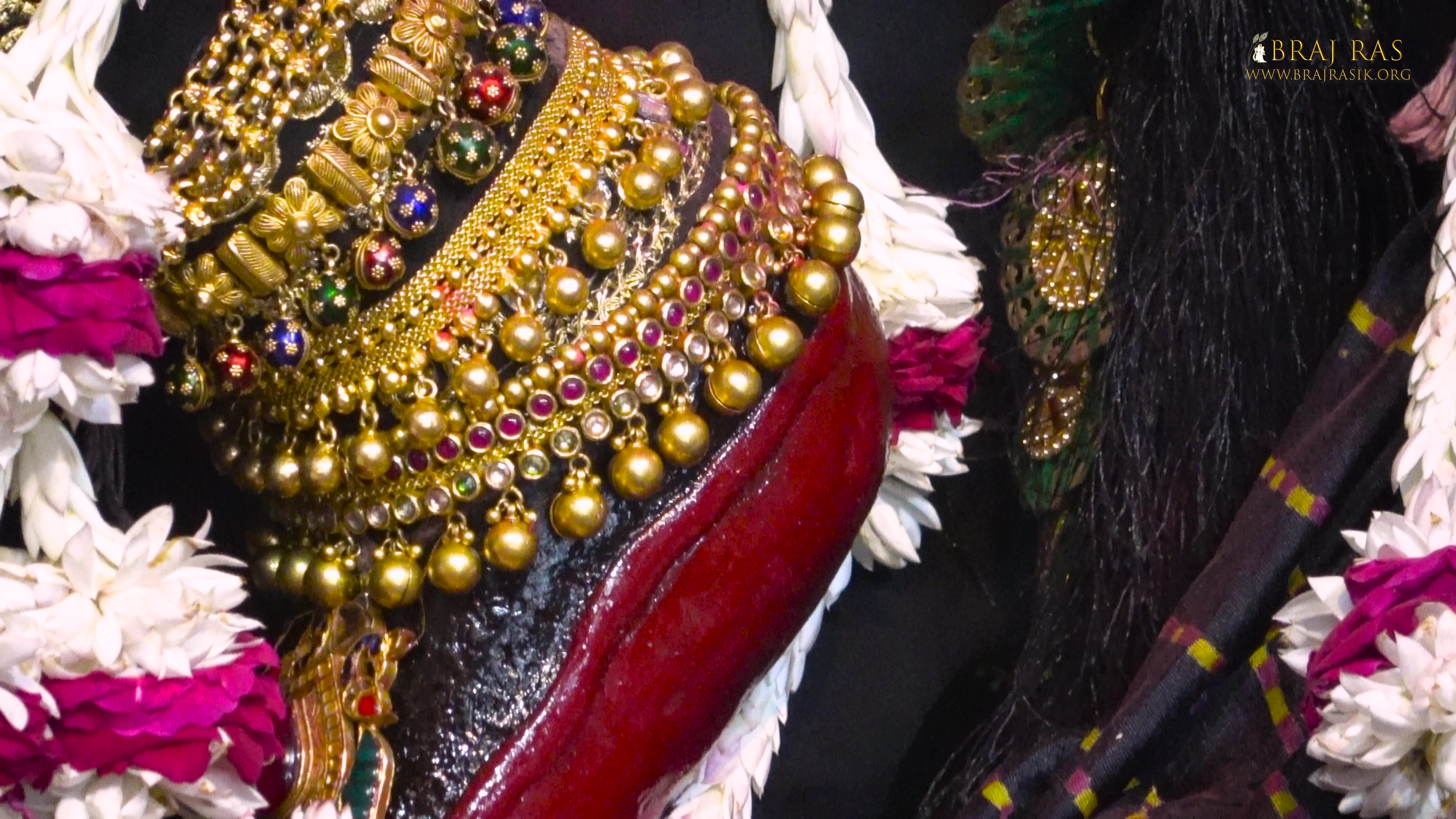 Lotus feet of Shri Radha Vallabh Lal Vrindavan