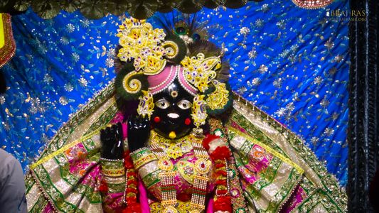 Close up darshan of Shri Radha Sneh Bihariji