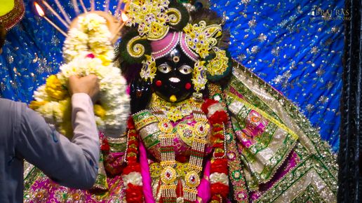 Shayan Aarti darshan of Shri Radha Sneh Bihariji Close