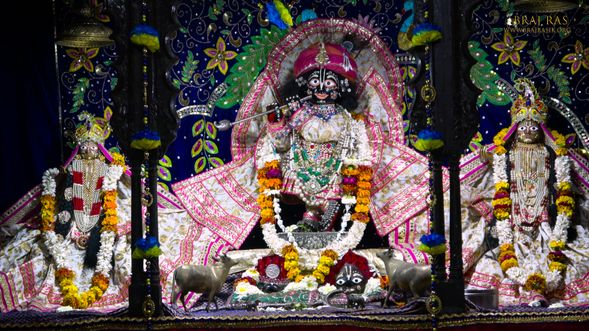Darshan of Shri Radha Gopinath with Jahnva