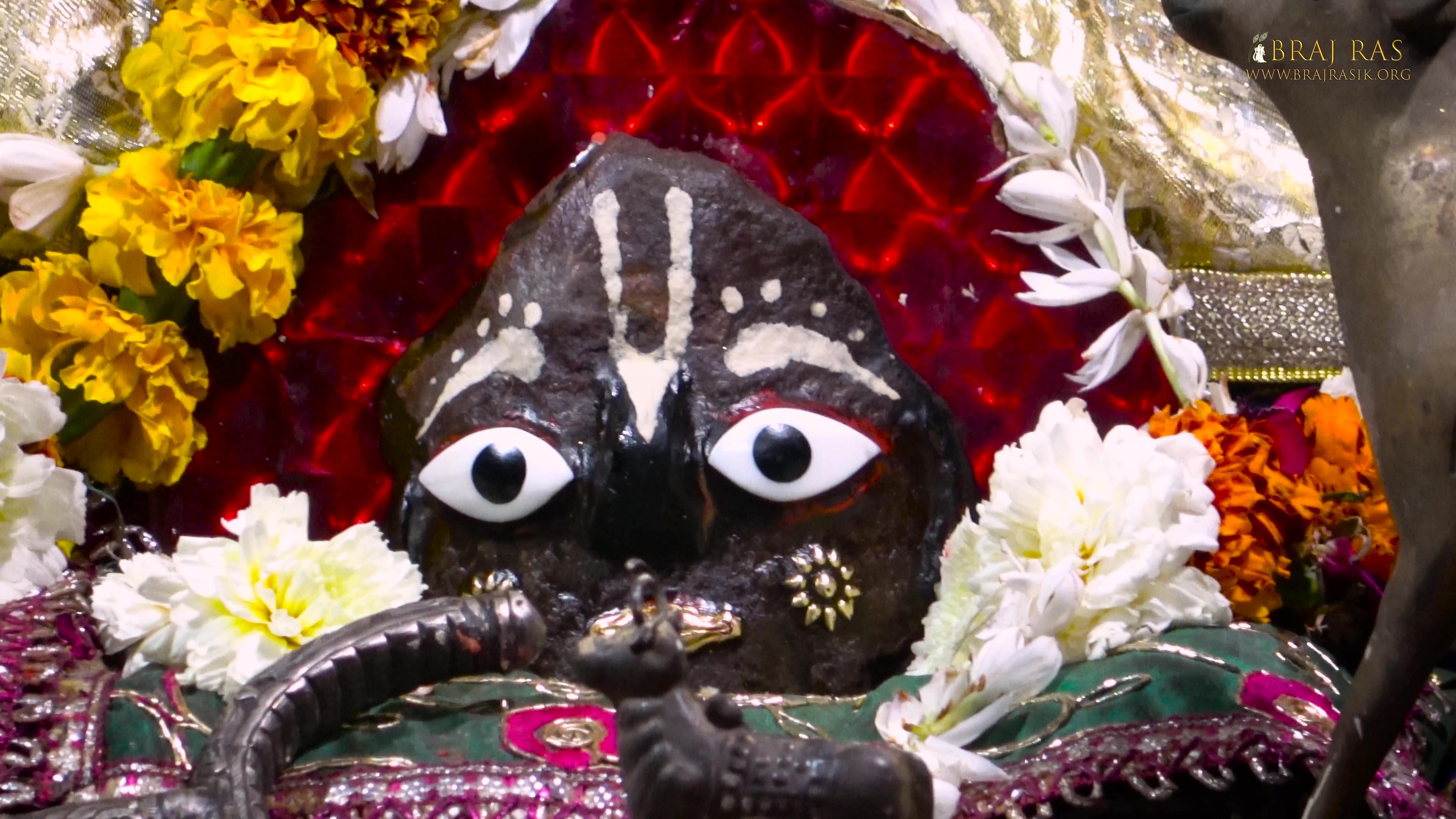श्री गिरिराज जी के दर्शन, श्री राधा गोपीनाथ मंदिर वृंदावन में