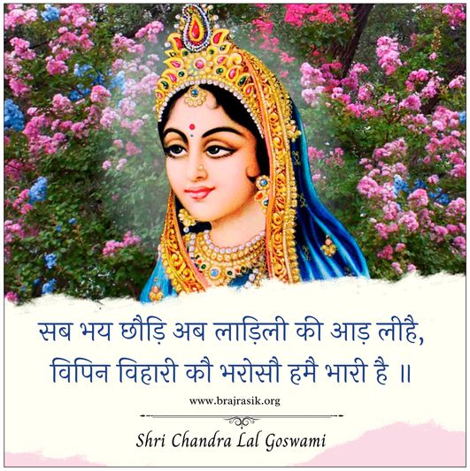 सब भय छौड़ि अब लाड़िली की आड़ लीहै - श्री चंद्र लाल गोस्वामी जी
