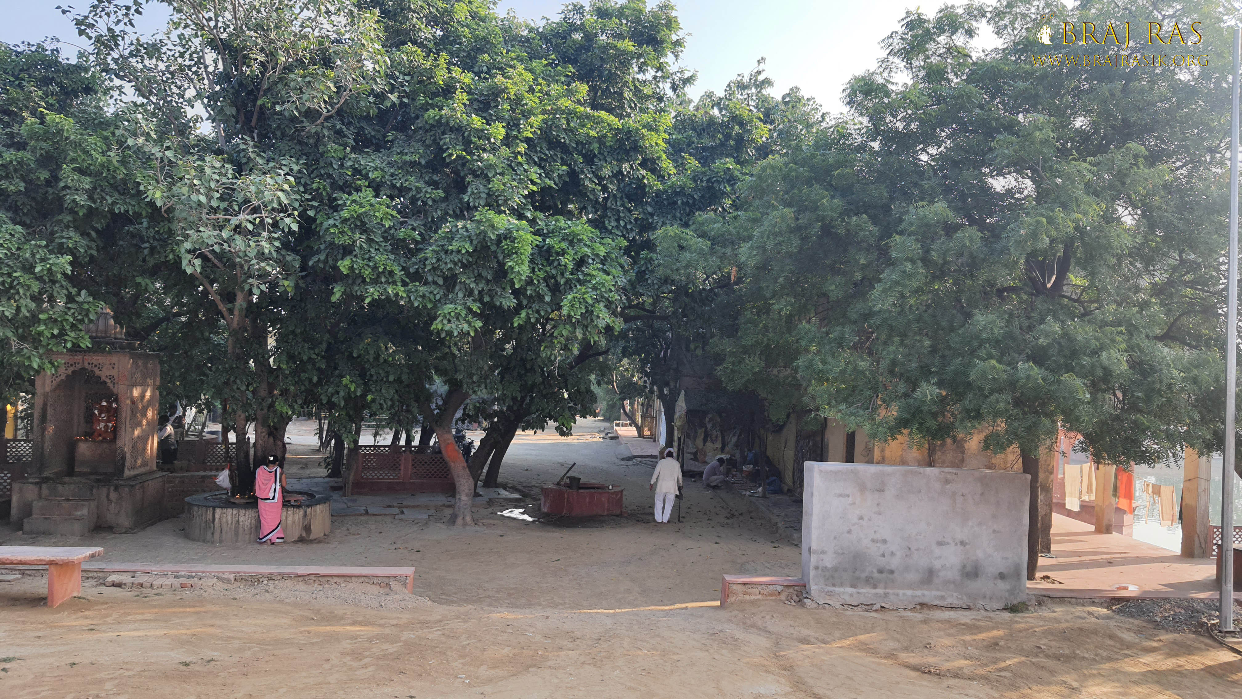 Darshan of Narad Tapo Sthali Vana at Govardhan