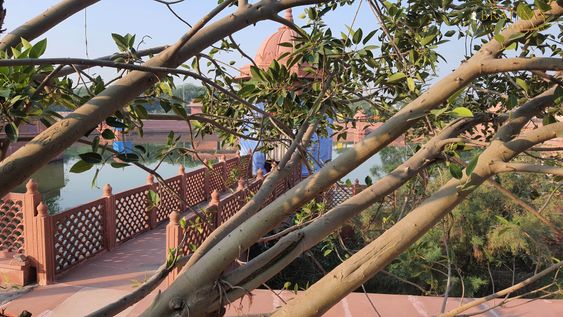 Beautiful Narad Van Kunda surrounded by Trees