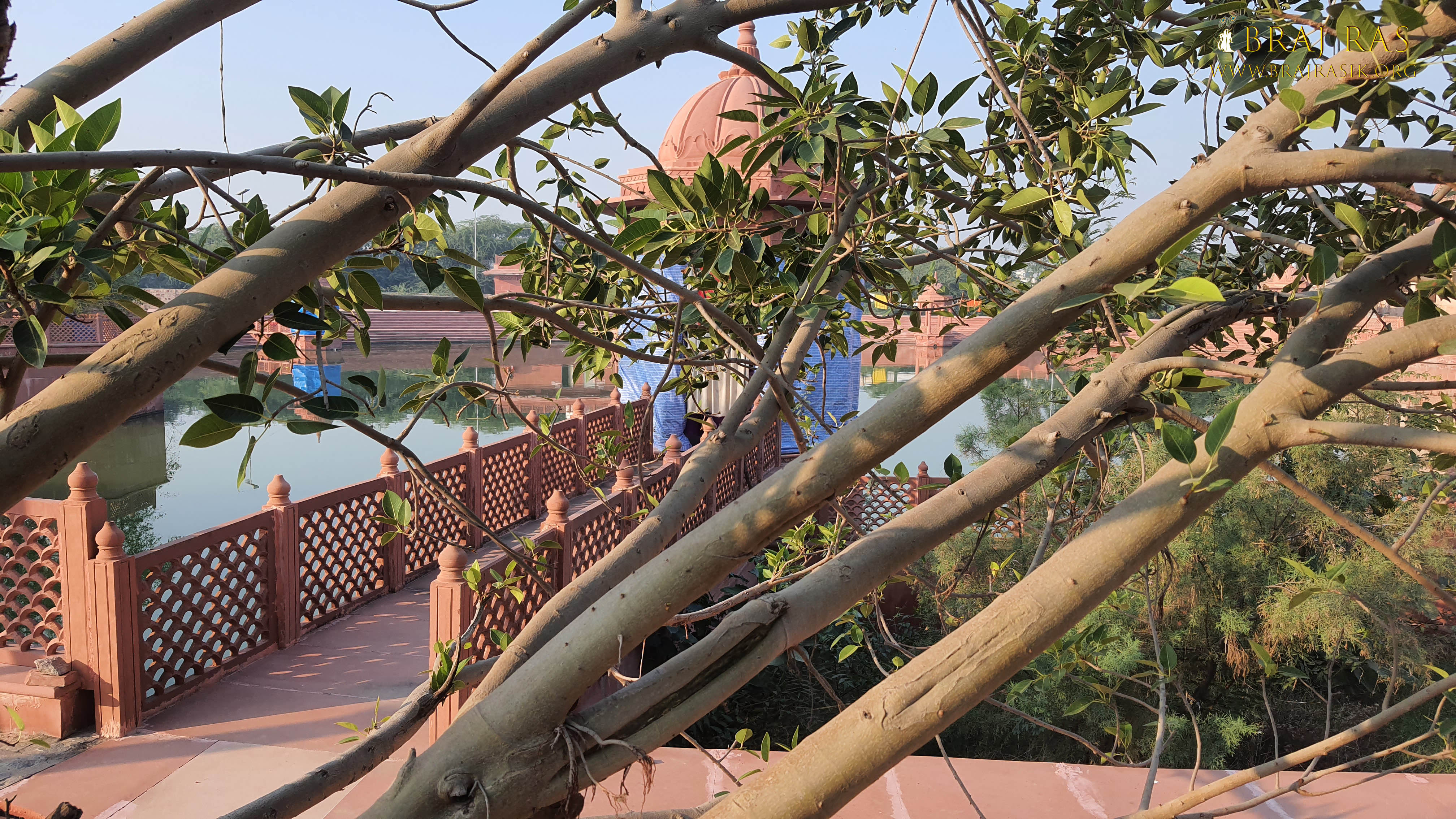Beautiful Narad Van Kunda surrounded by Trees