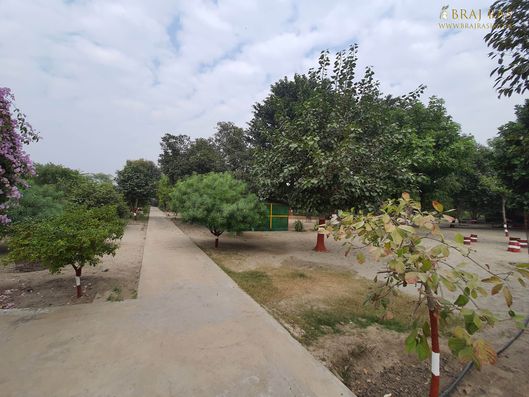 View of Nikunj Van, Parikrama Marg, Vrindavan, Panigaun