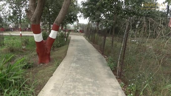 A well maintained Nikunj Van located at Parikrama Marg, Vrindavan, Panigaun