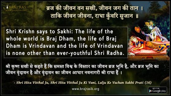 ब्रज की जीवन वन सखी जीवन जग की तान  - श्री हित विट्ठल जू की वाणी, लाल जू के वचन सखी प्रति  (16)