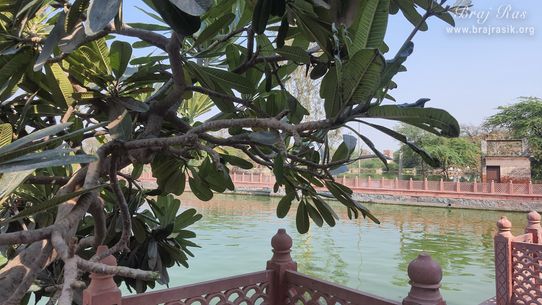 A beautiful view of Krishn Kund in Madhuvan - Braj.