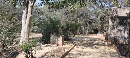 A nice view of the parikrama path of Bhagwat Niwas, Vrindavan.