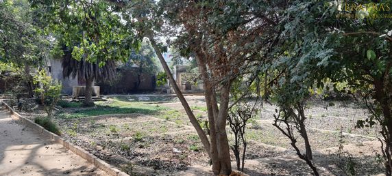 A nice forestial view inside Bhagwat Niwas, Vrindavan.