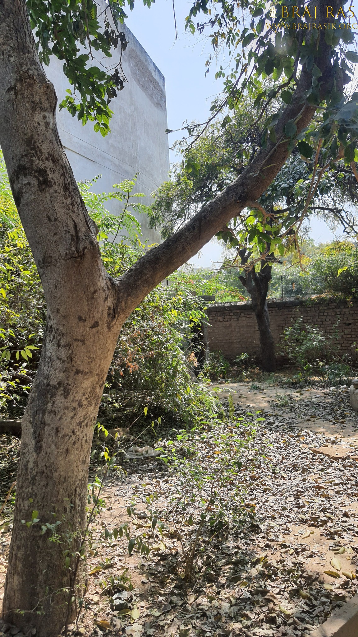 View of the bhajan places of the saints of Bhagwat Niwas, Vrindavan.