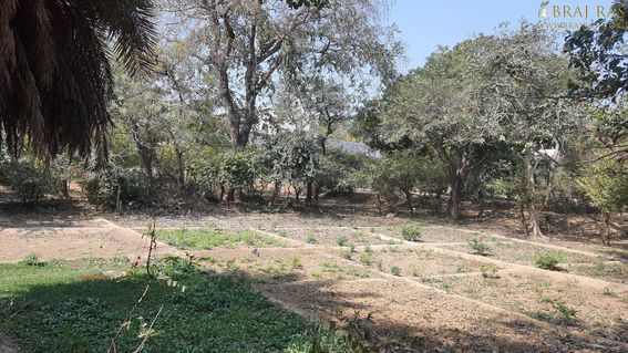 View of the field inside Bhagwat Niwas, Vrindavan.