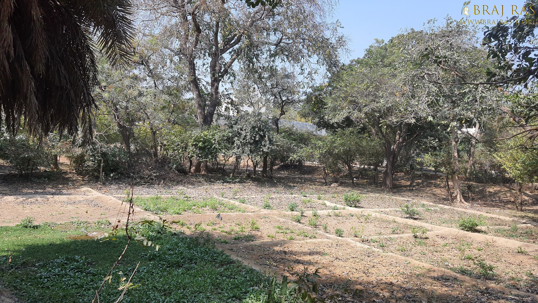 View of the field inside Bhagwat Niwas, Vrindavan.