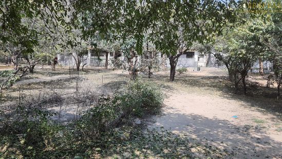 A nice view of the bhajan places of the saints of Bhagwat Niwas, Vrindavan.