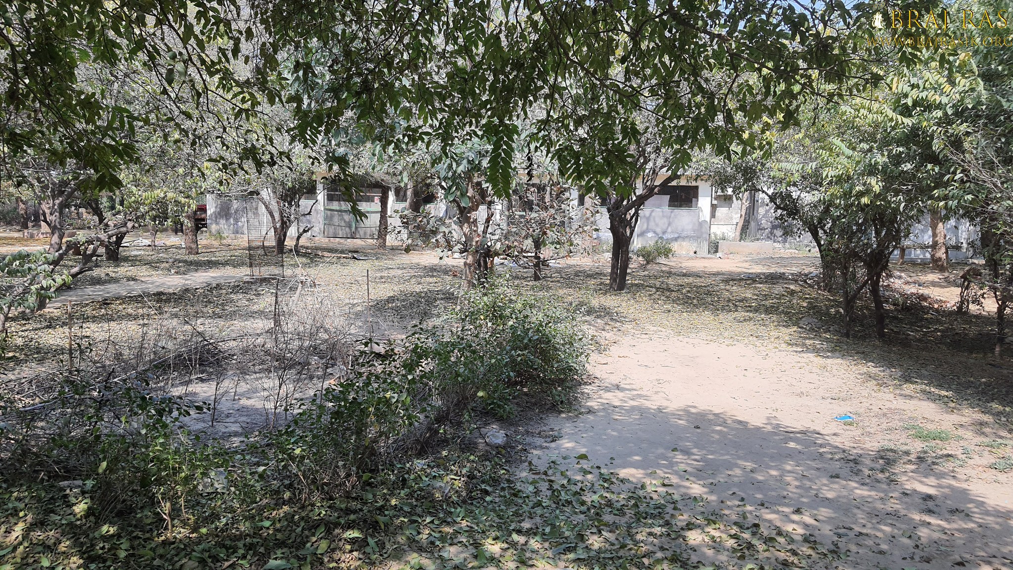 A nice view of the bhajan places of the saints of Bhagwat Niwas, Vrindavan.