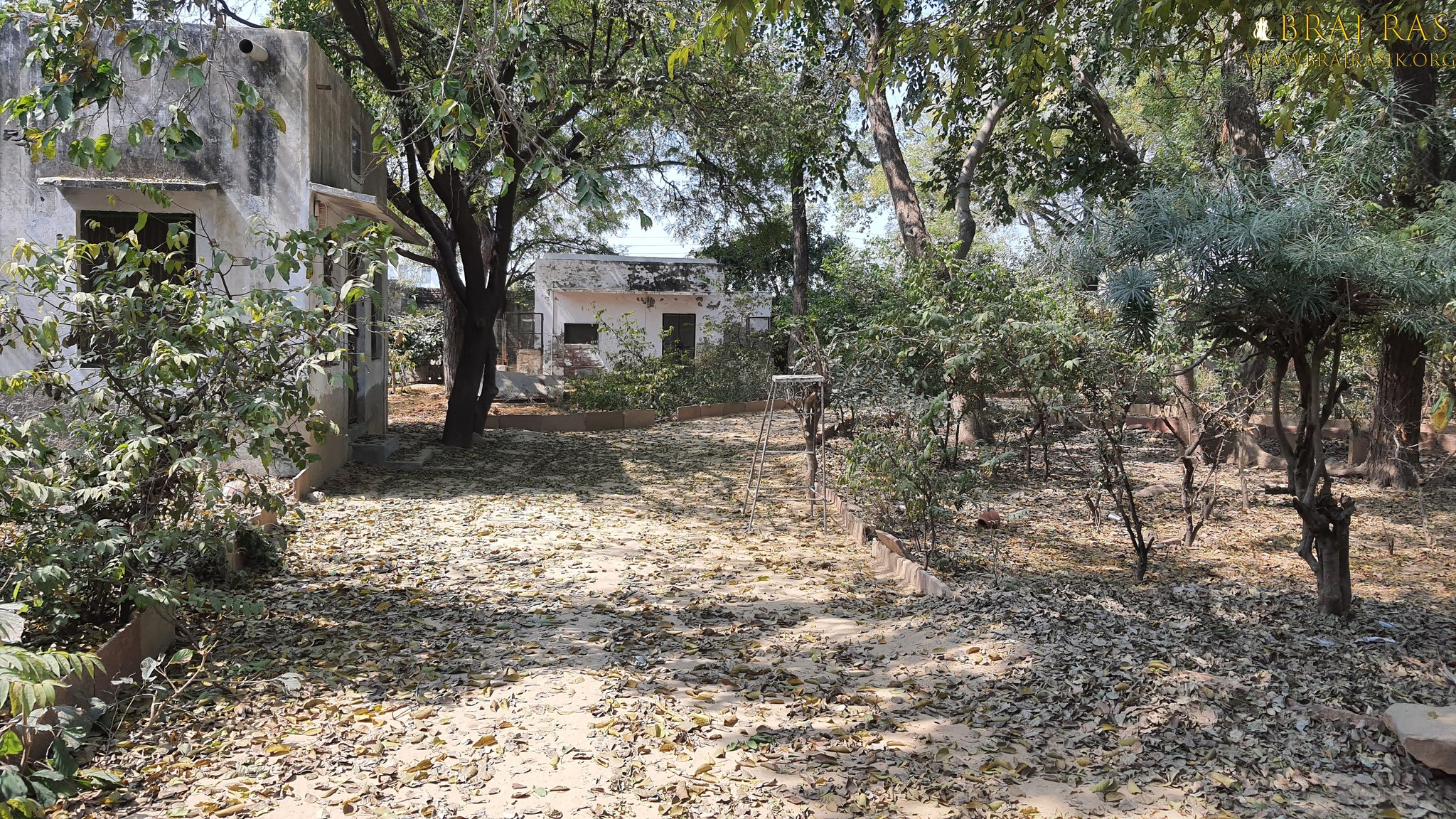 View of multiple huts of the saints in Bhagwat Niwas, Vrindavan.