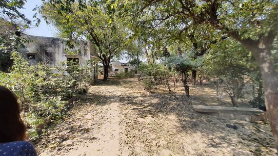View of a beautiful path inside Bhagwat Niwas, Vrindavan.