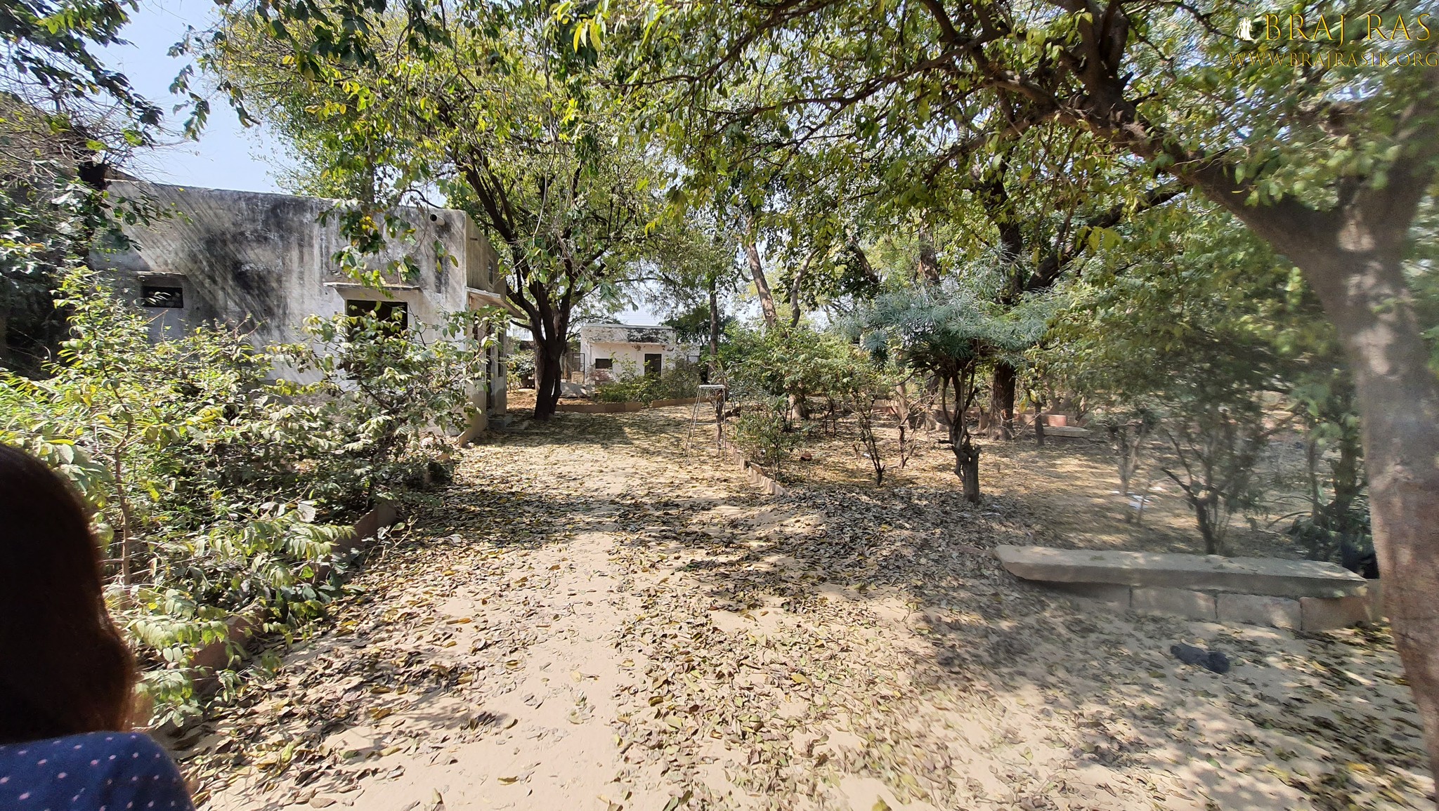 View of a beautiful path inside Bhagwat Niwas, Vrindavan.