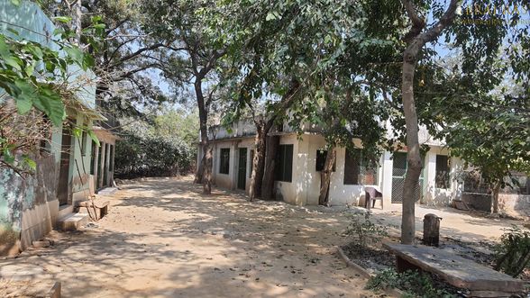 Beautiful view of cottages of devotees in Bhagwat Niwas, Vrindavan.
