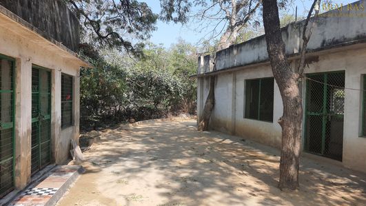 Nice view of cottages of devotees in Bhagwat Niwas, Vrindavan.