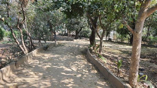 Beautiful path in Bhagwat Niwas, Vrindavan.