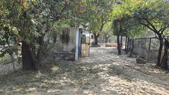 Beautiful environment in Bhagwat Niwas, Vrindavan.