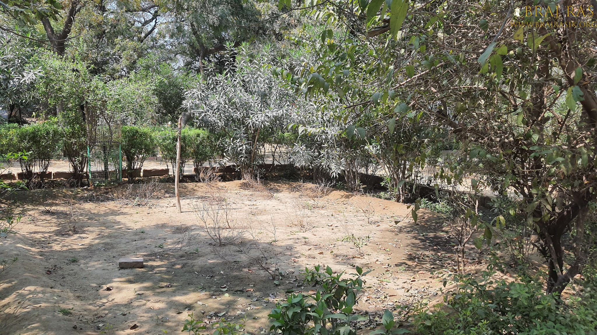 Beautiful garden view inside Bhagwat Niwas, Vrindavan.