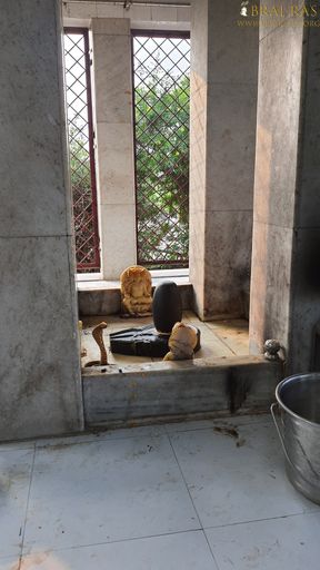 Darshan of Shiv Linga in Uddhava Kunda, Govardhan.
