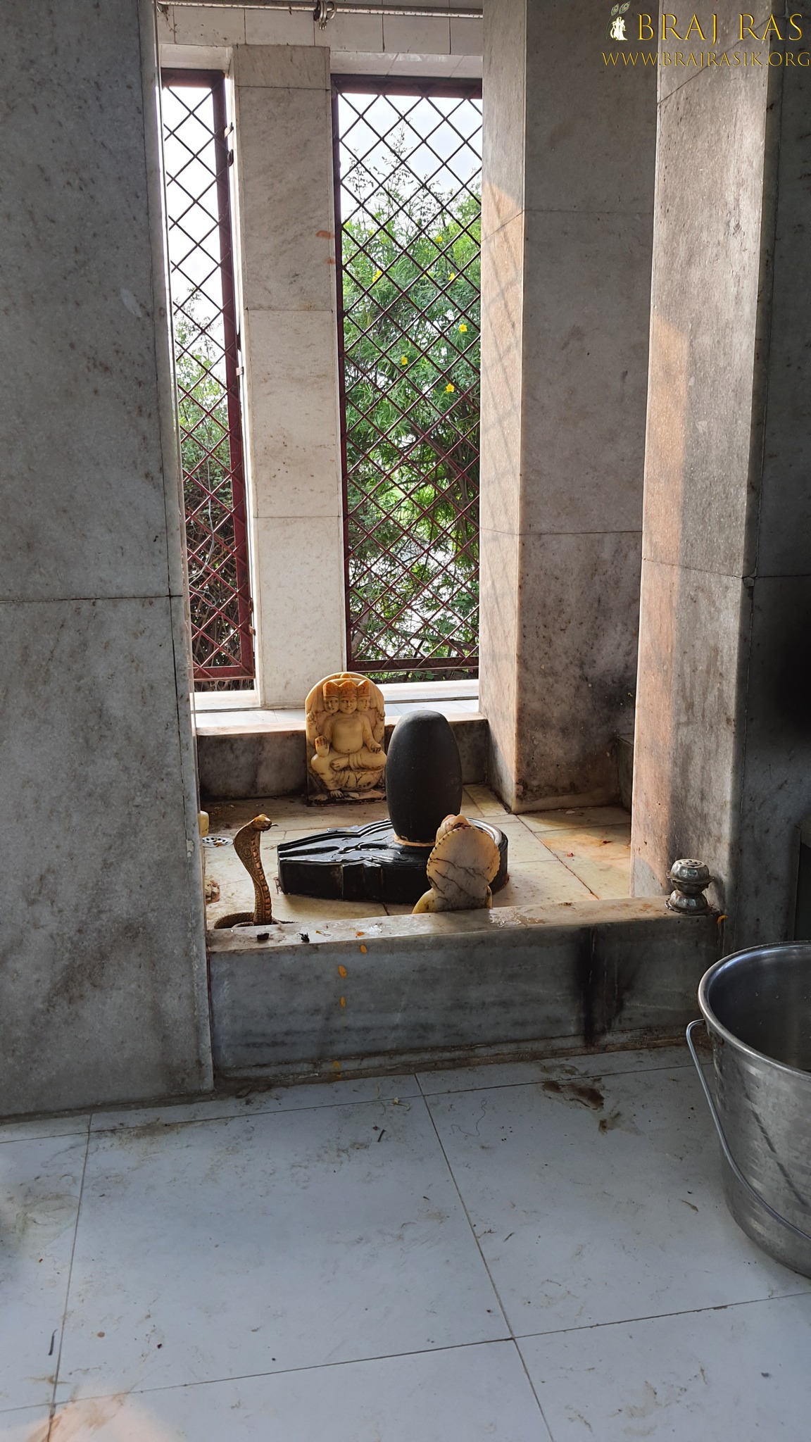 Darshan of Shiv Linga in Uddhava Kunda, Govardhan.