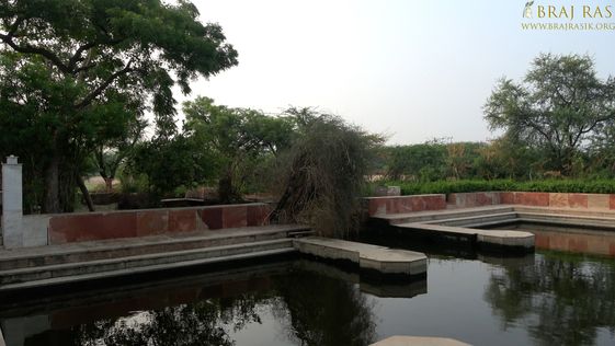 A beautiful view of Uddhava Kunda, Govardhan.