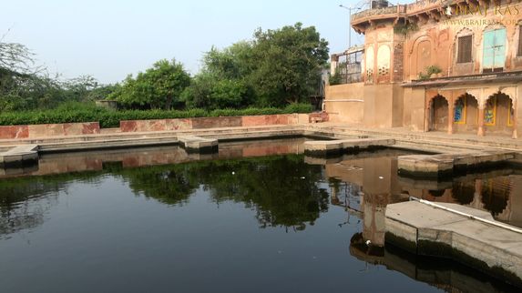 A soothing view of Uddhava Kunda, Govardhan.