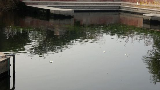 View of the waters of Uddhava Kunda, Govardhan.