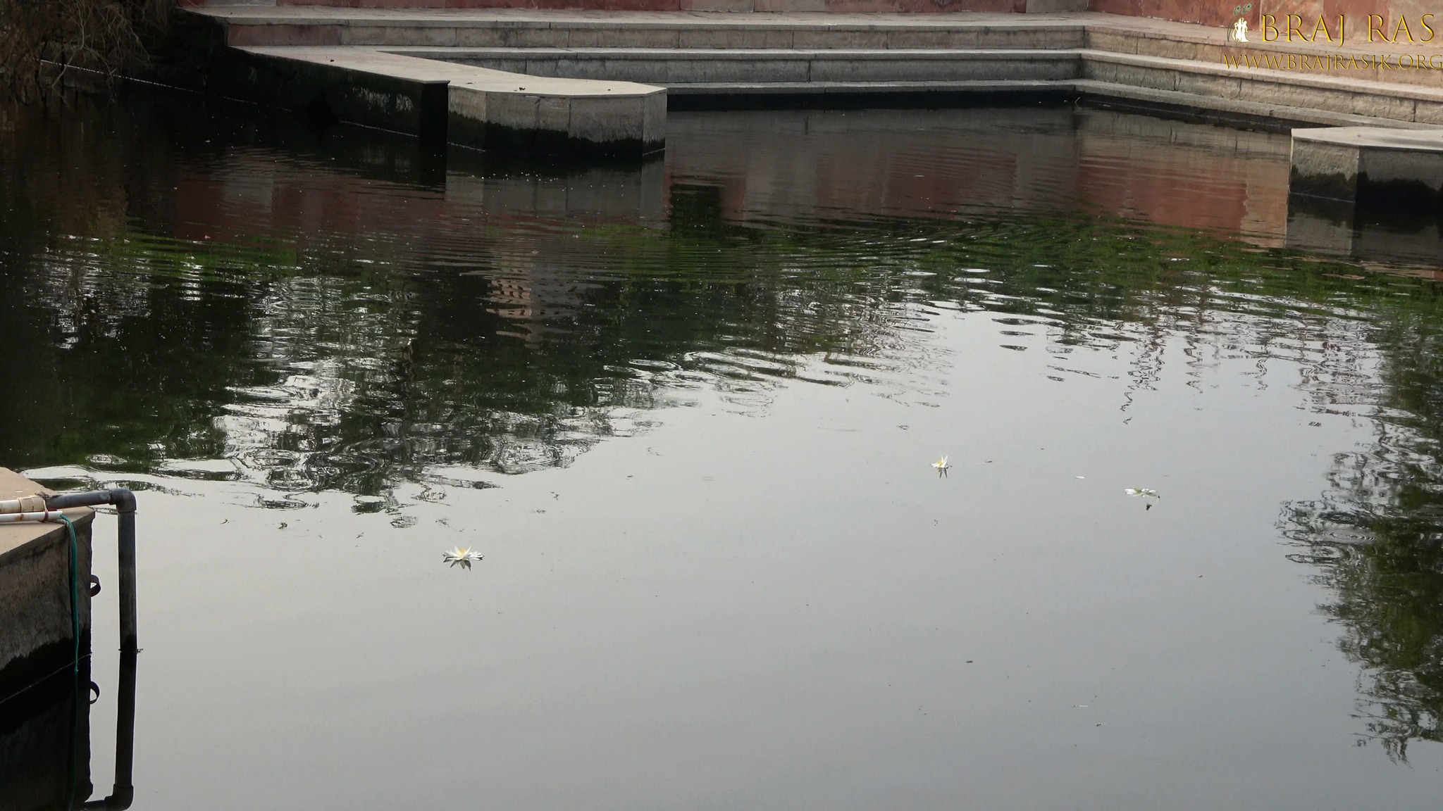 View of the waters of Uddhava Kunda, Govardhan.