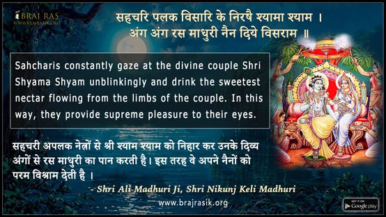 सहचरि पलक विसारि के निरषै श्यामा श्याम - श्री अली माधुरी जी, श्री निकुंज केलि माधुरी, श्रीनिकुञ्ज प्रकाश अष्टयाम मानसी सेवा (34)