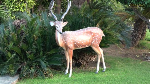 Beautiful statue of a deer at Rangeeli Mahal, Barsana.