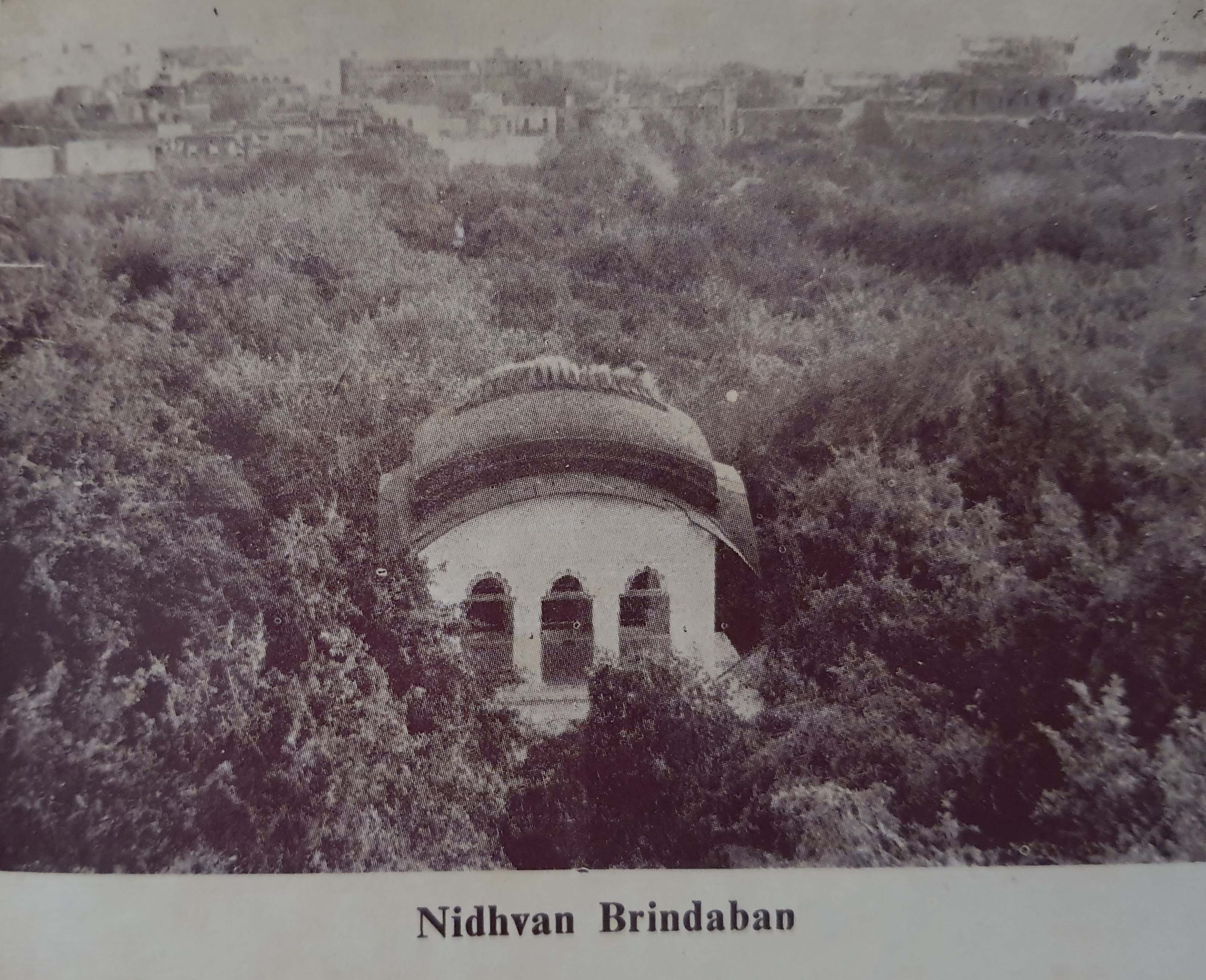 Old Photo of Nidhivan, Vrindavan