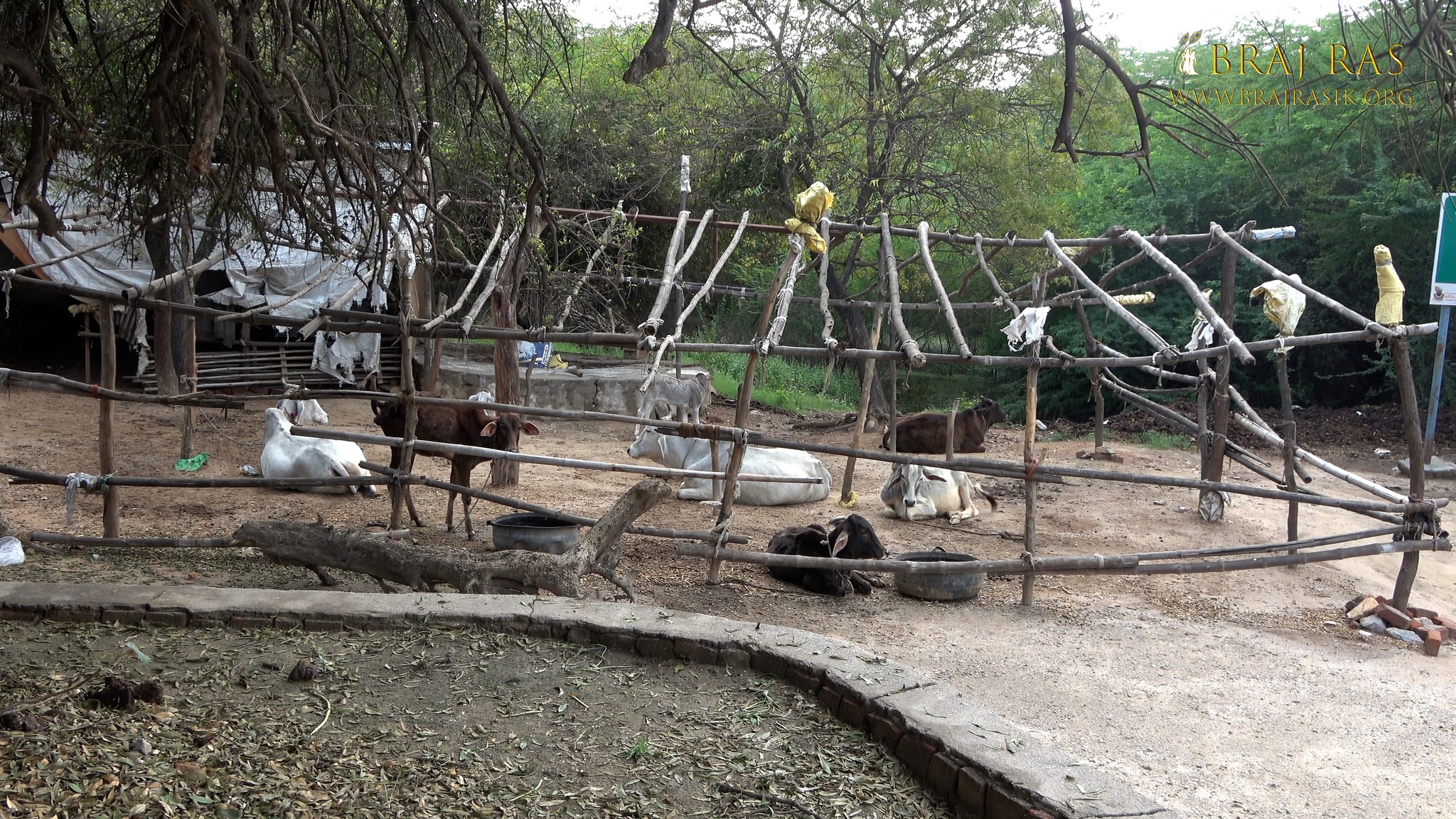 View of cowshed on Charan Pahadi, Nandgaon.