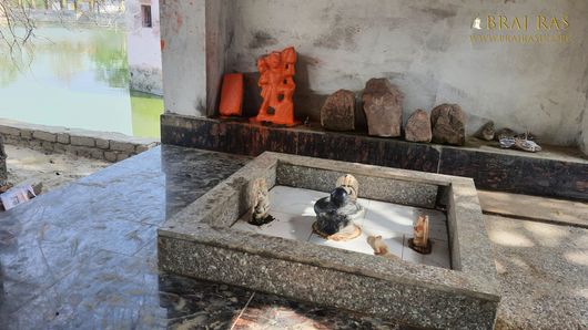 Darshan of Shiva Linga at Govind Kund, Govardhan.