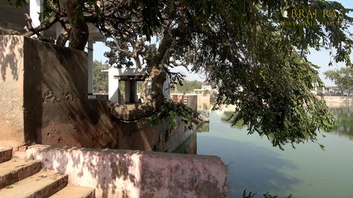 An old tree at Govind Kund, Govardhan.