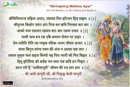 श्रीविपिनराज महिमा अपार - श्री अली माधुरी जी, श्री निकुञ्ज केली माधुरी