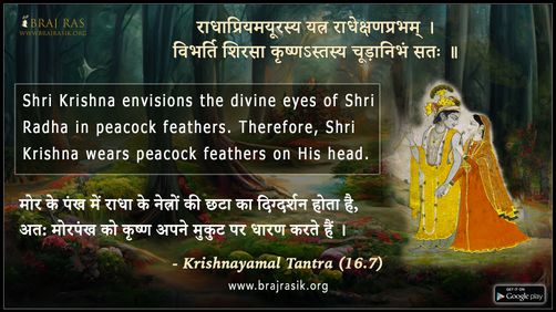 राधाप्रियमयूरस्य यत्र राधेक्षणप्रभम् - कृष्णयामल तन्त्र (16.7)