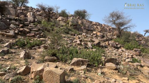 Close darshan of Govardhan Hill at Shrinathji Prakatya Sthal.