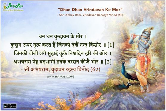 Dhan Dhan Vrindavan Ke Mor - Shri Abhay Ram, Vrindavan Rahasya Vinod (62)