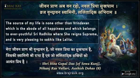 Jeevan Pran Ab Van Raho - Shri Hita Gopal Das [of Sewa Kunj], Nikunj Ras Vallari, Aashish Dohas (6)