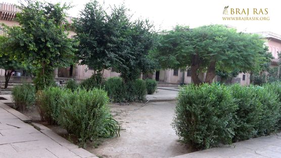 The garden inside Jaipur Temple, Vrindavan.