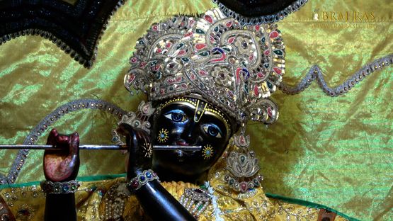 Close darshan of Shri Madhav in Jaipur Temple, Vrindavan.