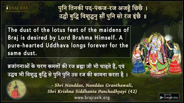 पुनि तिनकी पद-पंकज-रज - श्री नंददास ग्रंथावली, श्री कृष्ण सिद्धान्त पंचाध्यायी (42)