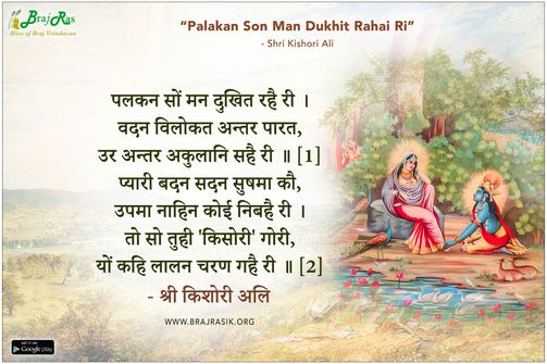 Palakan Son Man Dukhit Rahai Ri - Shri Kishori Ali