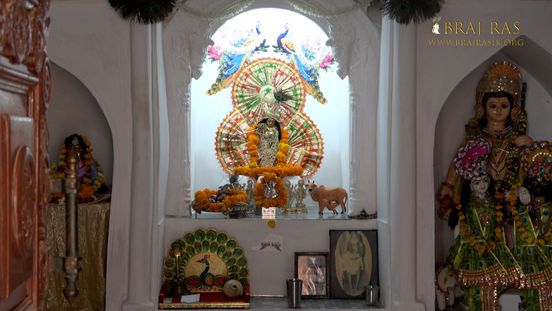 Darshan of Shri Bhatraund Bihari Ji in Shri Bhatraund Bihari Temple, Vrindavan.